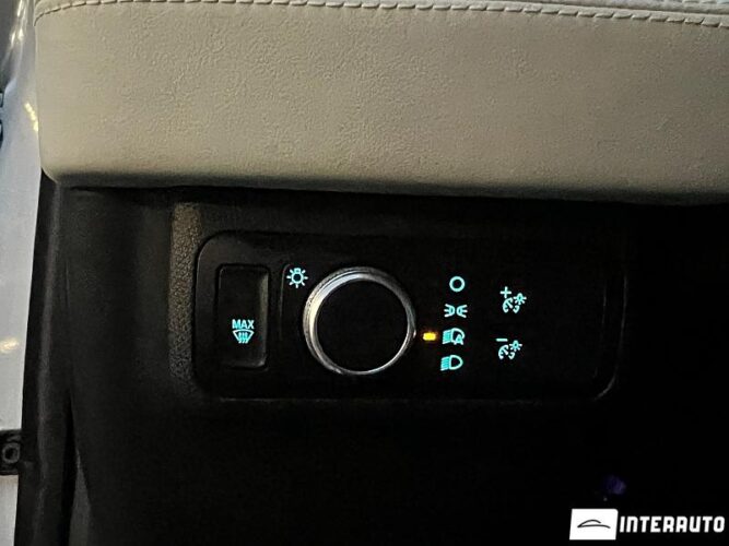 Ford Mustang Mach-E 46 interauto-car