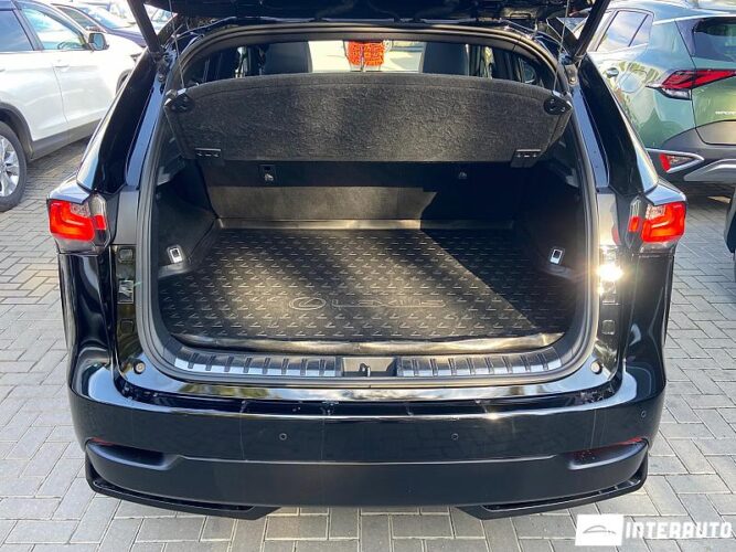 Lexus NX 300H 36 interauto-car