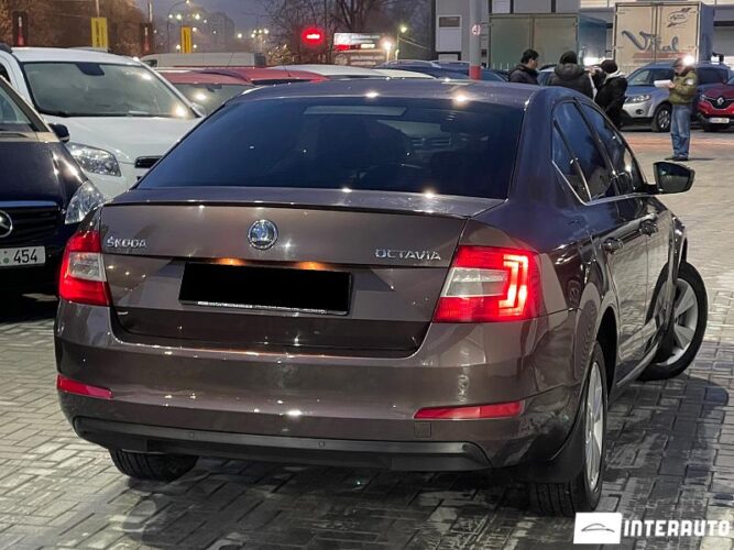 Skoda Octavia 30 interauto-car
