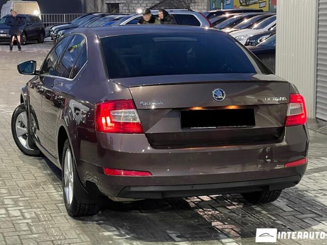 Skoda Octavia 29 interauto-car