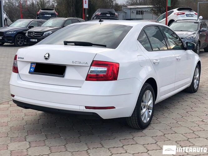 Skoda Octavia 28 interauto-car