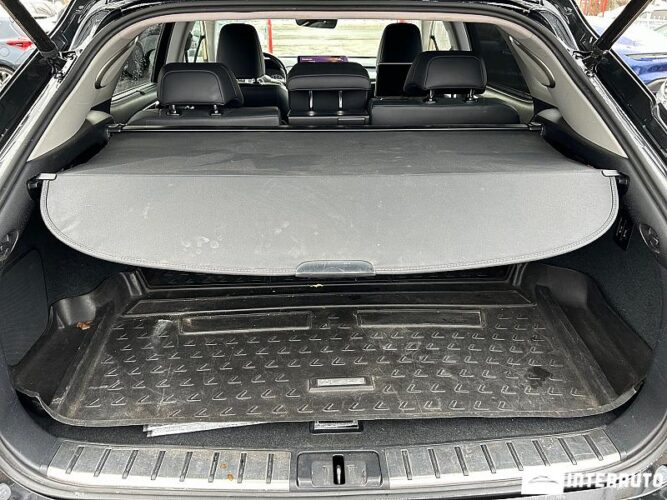 Lexus RX 450h 49 interauto-car