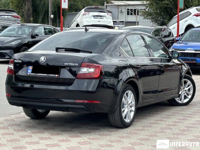 Skoda Octavia 33 interauto-car