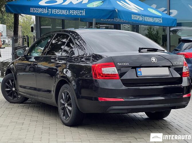 Skoda Octavia 29 interauto-car