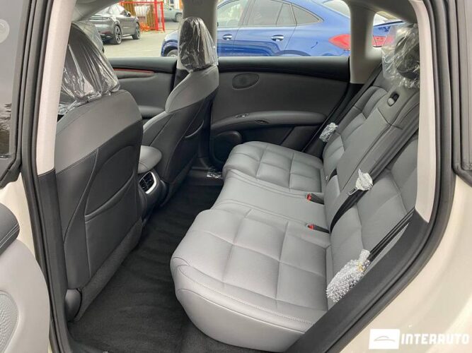 IM Motors LS6 49 interauto-car