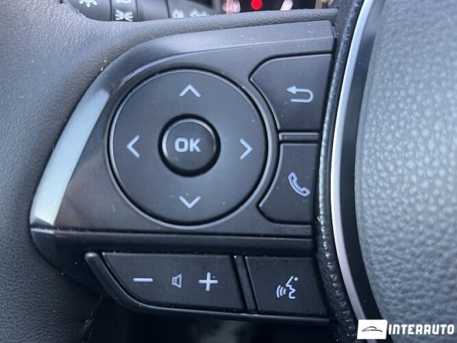 Toyota Rav-4 46 interauto-car