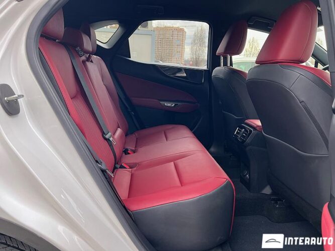 Lexus NX 250 46 interauto-car