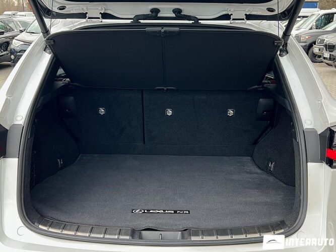 Lexus NX 250 48 interauto-car