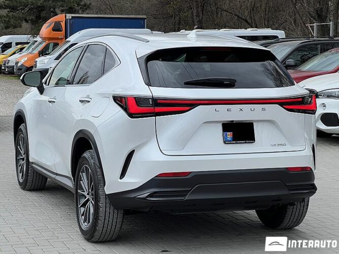 Lexus NX 250 33 interauto-car