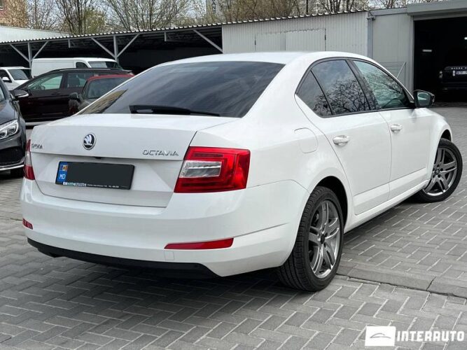 Skoda Octavia 28 interauto-car