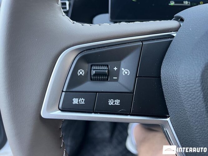 BYD Qin Plus 34 interauto-car