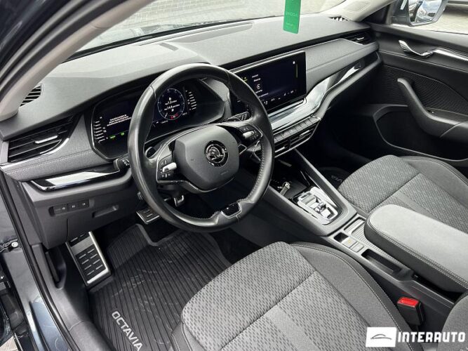 Skoda Octavia 38 interauto-car