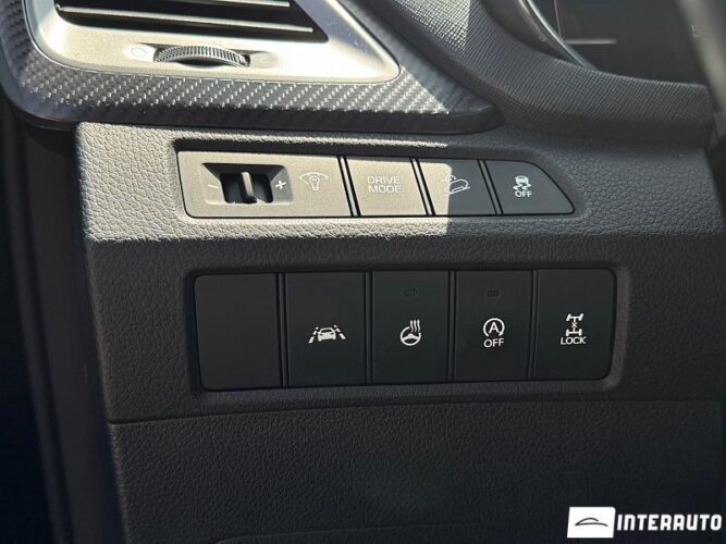 Hyundai Santa Fe 43 interauto-car