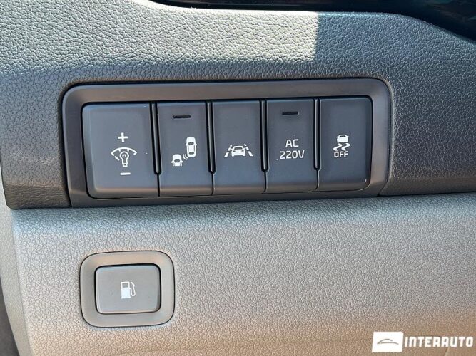 Kia Carnival 38 interauto-car