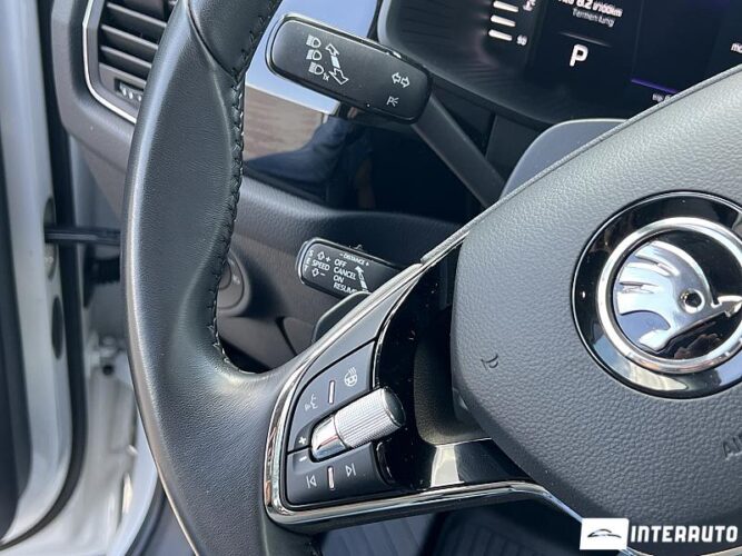 Skoda Kodiaq 46 interauto-car