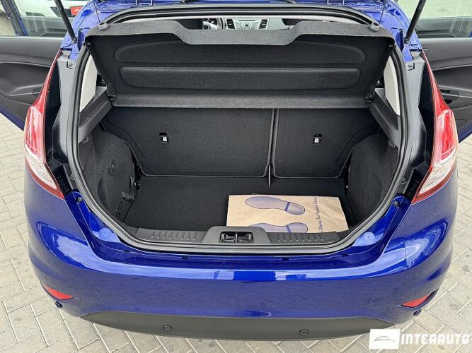 Ford Fiesta 49 interauto-car