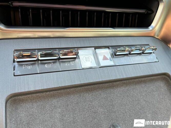 Denza N9 42 interauto-car