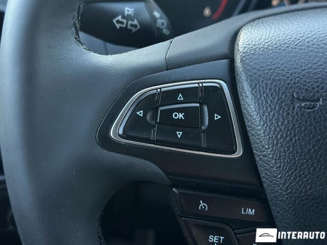 Ford Focus 39 interauto-car