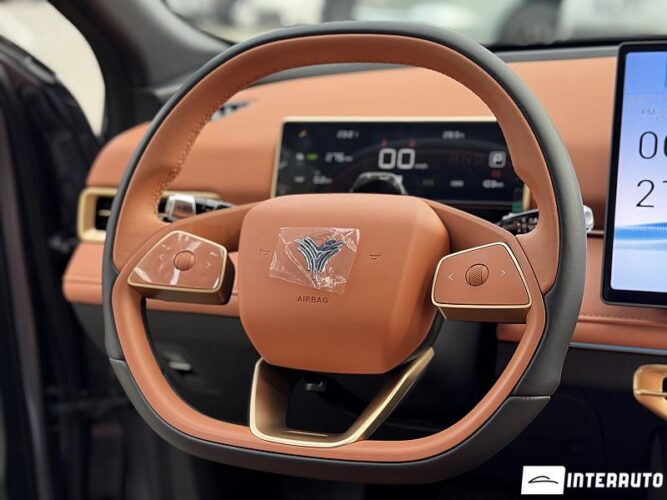 Neta X 37 interauto-car