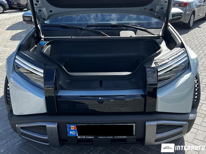 BYD Leopard 3 64 interauto-car