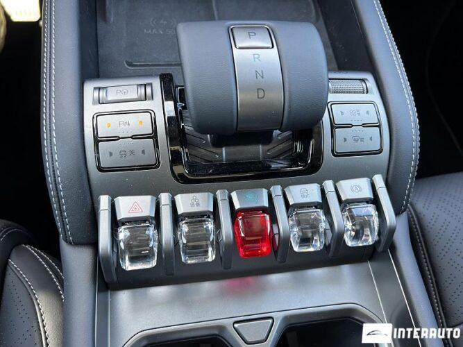 BYD Leopard 3 49 interauto-car