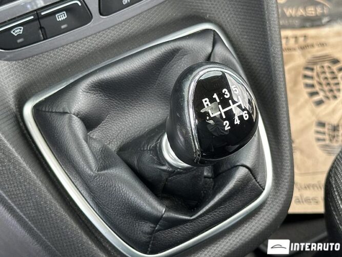 Ford Tourneo 38 interauto-car