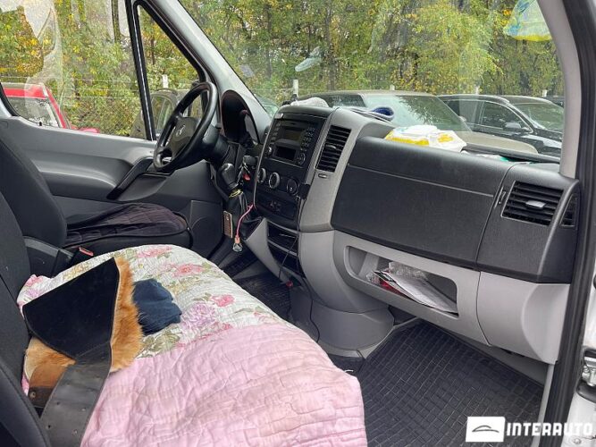 Mercedes Sprinter 31 interauto-car