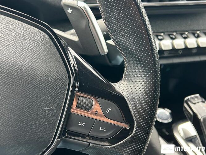 Peugeot 3008 41 interauto-car