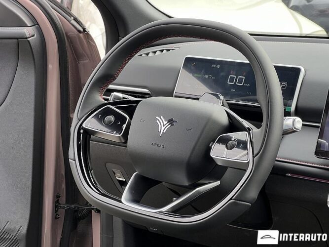 Neta X 38 interauto-car