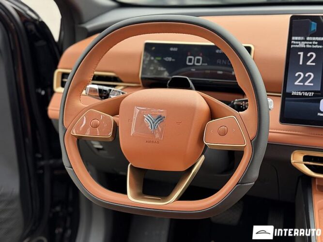 Neta X 34 interauto-car