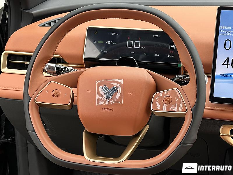 Neta X 17 automobil-interauto