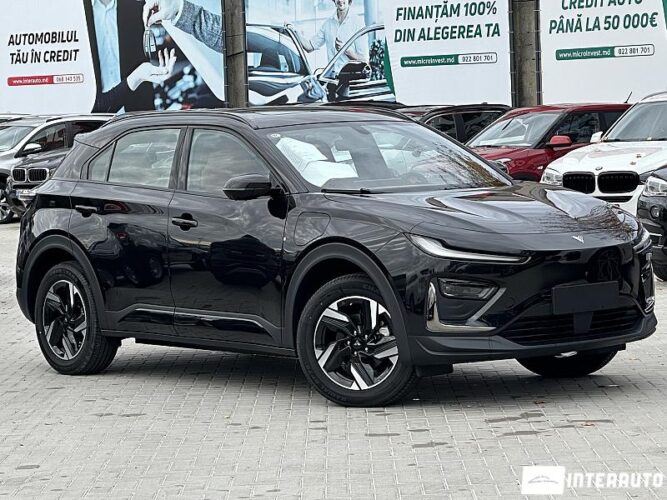 Neta X 29 interauto-car