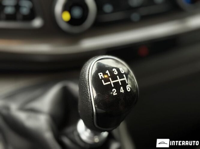 Ford Transit 38 interauto-car