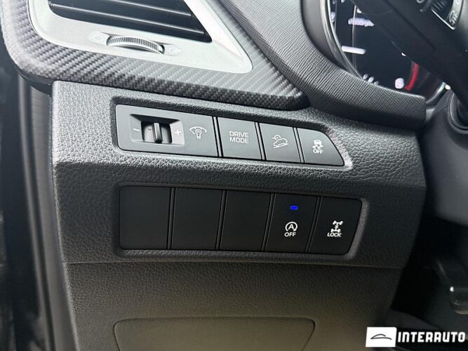 Hyundai Santa Fe 56 interauto-car