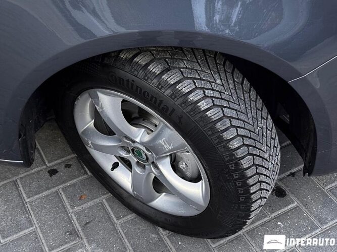 Skoda Fabia 40 interauto-car