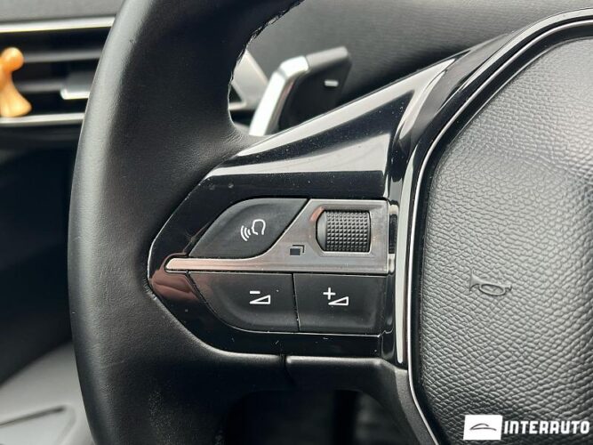 Peugeot 3008 51 interauto-car