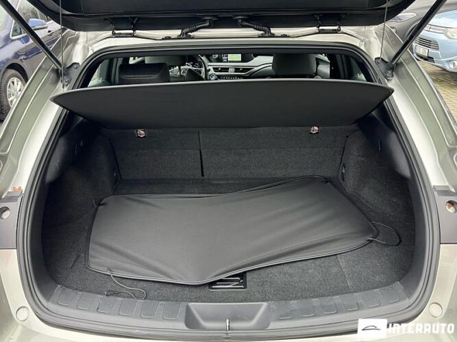 Lexus UX 250h 49 interauto-car
