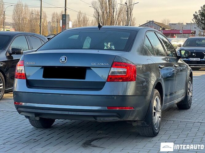 skoda Octavia 2019