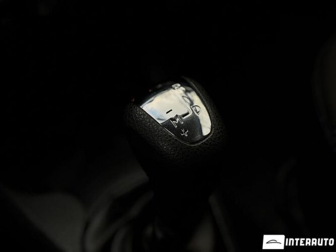 Dacia Sandero Stepway 43 interauto-car