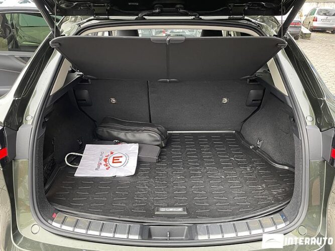 Lexus NX 200T 49 interauto-car