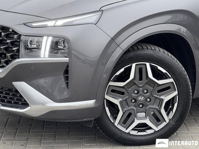 Hyundai Santa Fe 47 interauto-car