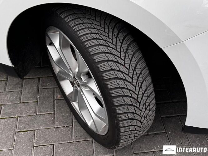 Renault Scenic 49 interauto-car