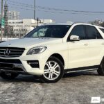 Mercedes ML 250 2013