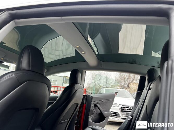 Tesla Model 3 39 tesla Model 3 2019