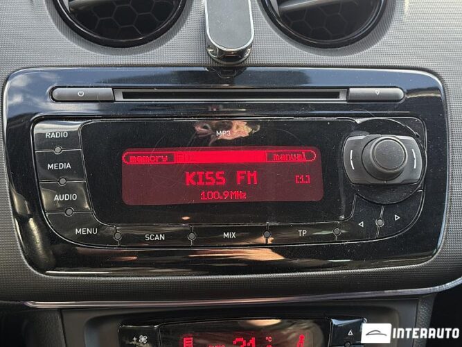 seat Ibiza Cupra 2010