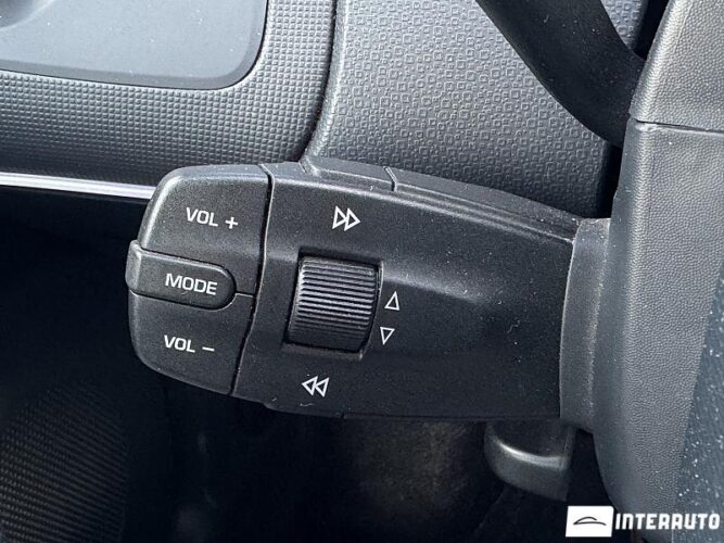 seat Ibiza Cupra 2010