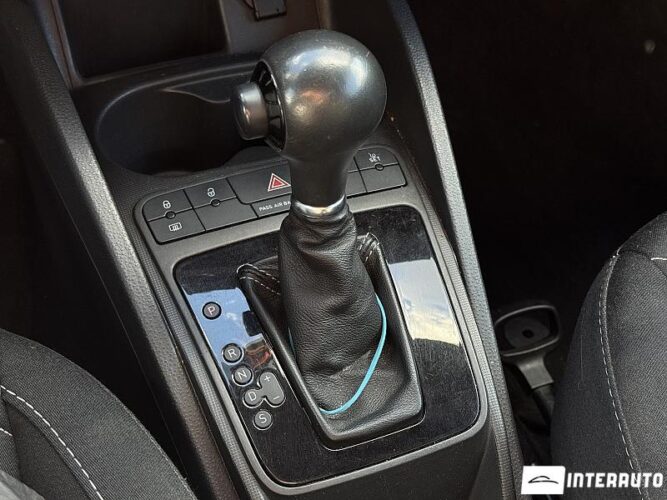 seat Ibiza Cupra 2010