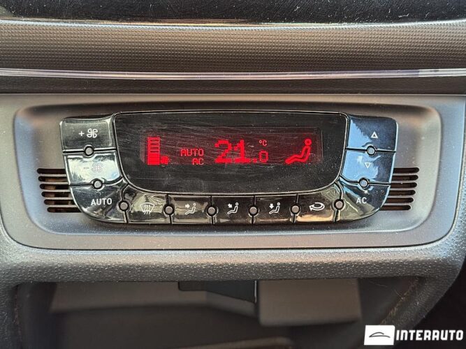 seat Ibiza Cupra 2010