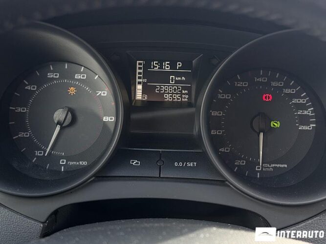 seat Ibiza Cupra 2010