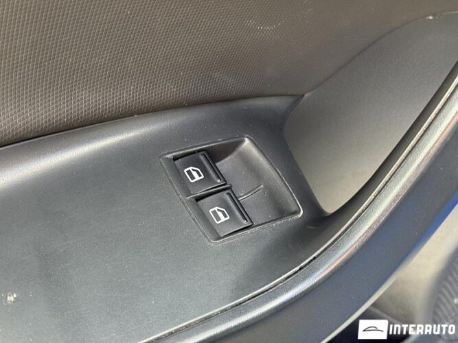 seat Ibiza Cupra 2010